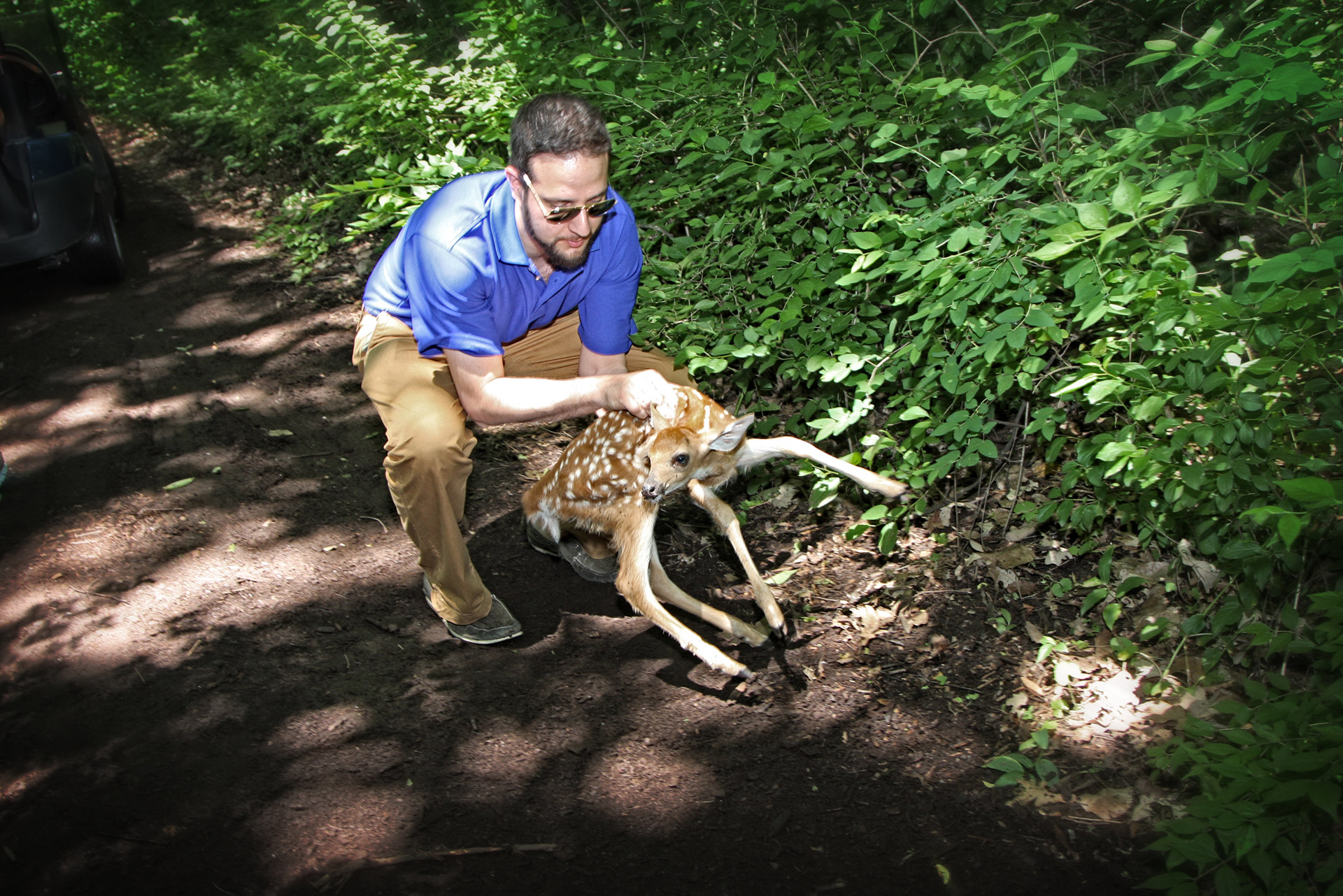 MMSDC Golf Deer Rescue